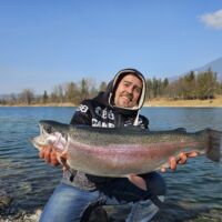 Kapitale Regenbogenforelle März 2023