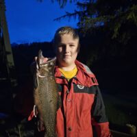 Bachsaibling - August 2023