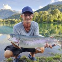 Tageskartenfischer - Regenbogenforelle 2023