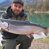 Wunderschöne Regenbogenforelle 2023