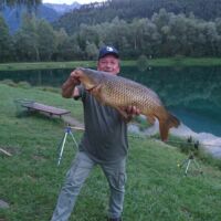 Schuppenkarpfen 2017