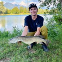 Tageskartenfischer - Hecht 2023