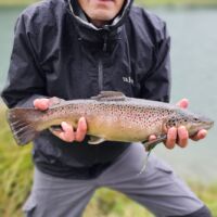 Schöne Bachforelle 2024