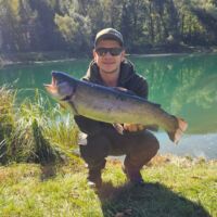 Regenbogenforelle 2024