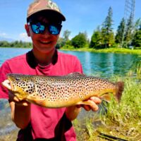 Jugendfischer - Bachforelle 2024