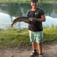 Jugendfischer - Hecht 2024