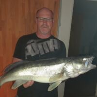 Kapitaler Zander 2024