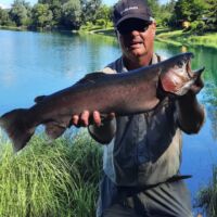 Kapitale Regenbogenforelle 2024