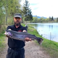 Kapitale Regenbogenforelle 2024