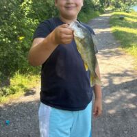 Jugendfischer - Barsch 2024