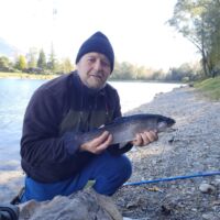 Regenbogenforelle 2021