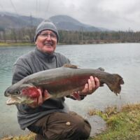 Kapitale Regenbogenforelle 2024