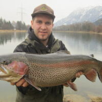 Kapitale Regenbogenforelle 2015