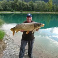 Schuppenkarpfen 2018