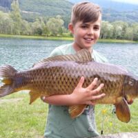 Schuppenkarpfen 2019