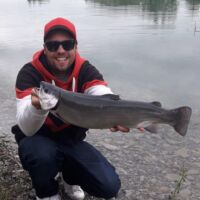 Regenbogenforelle 2019