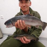 Regenbogenforelle 2018