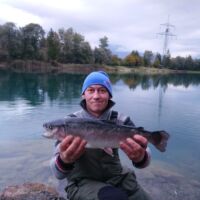 Regenbogenforelle 2020