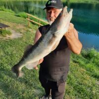 Kapitaler Zander 2021