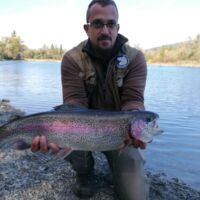 Regenbogenforelle 2021