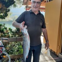 Regenbogenforelle 2021