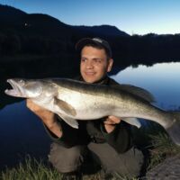 Kapitaler Zander 2022