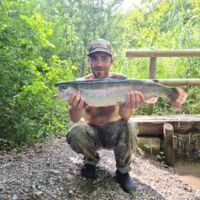 Kapitale Regenbogenforelle 2022