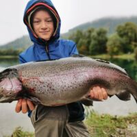 Regenbogenforelle 2022