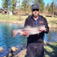 Regenbogenforelle 2024