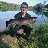 Regenbogenforelle 2022