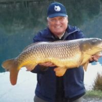 Schuppenkarpfen 2017