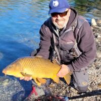 Schuppenkarpfen 2022