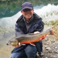 Bachsaibling 2017 Bachsaibling