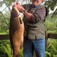 Schuppenkarpfen 2017 Schuppenkarpfen