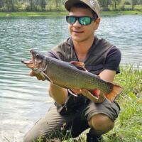 Bachsaibling - August 2023