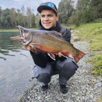 Bachsaibling - Oktober 2023