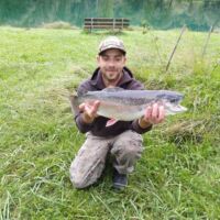 Regenbogenforelle - September 2023