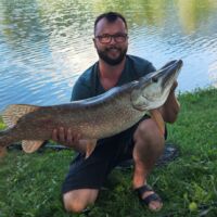 Kapitaler Hecht - 2023