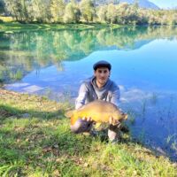 Schöner Spiegelkarpfen 2023