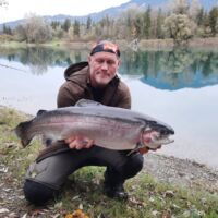 Kapitale Regenbogenforelle - Oktober 2023